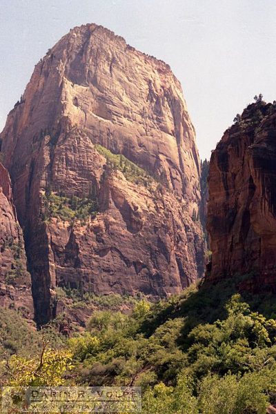 Zion National Park 1989