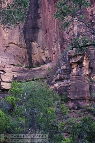 Zion National Park 1989