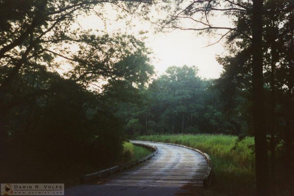 Jamestowne Colony 1989