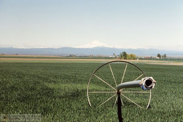 Somewhere in Washington or Oregon - 1990