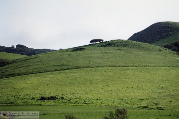 Los Osos, California - 1992