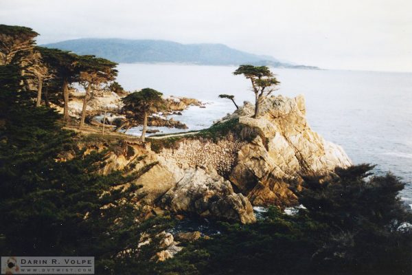 Lone Cypress in Monterey, California - 1992