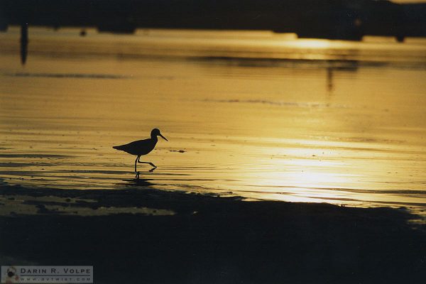 Los Osos, California - 1992