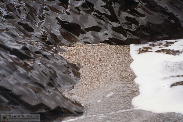 Montana De Oro State Park - Los Osos, California - 1993