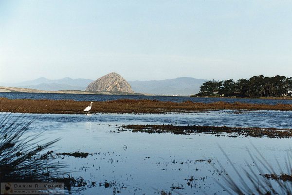 Morro Bay from Sweet Springs - Los Osos - 1993