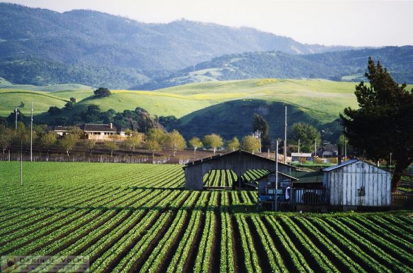 Hollister, California - 1993