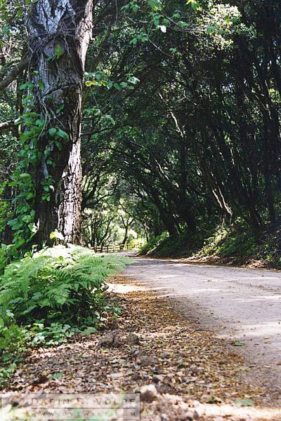 San Luis Obispo County - 1993