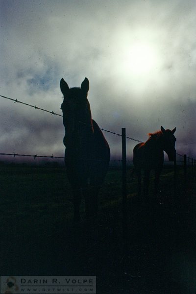 Los Osos, California - Between 1994 and 2000