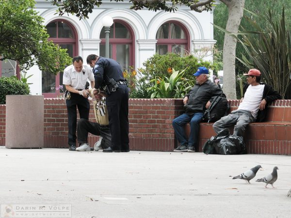 Seeing the LAPD in action makes any trip to LA complete.