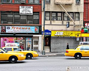 "Basic Human Needs" [Hotel, Restaurant, and Adult Entertainment Store in New York City, New York]