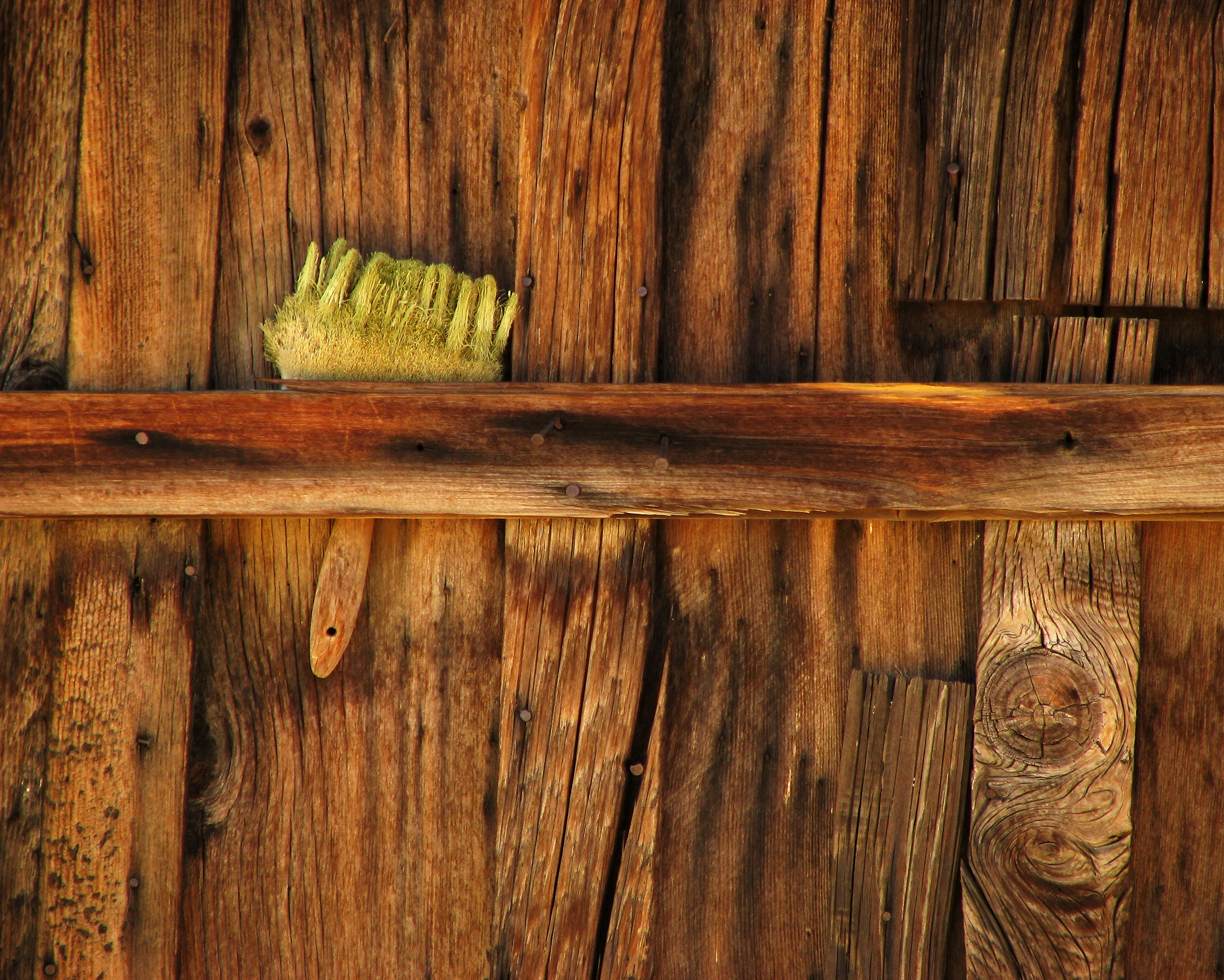 "Brush Strokes" [Abandoned Shed In Mojave Desert, California]