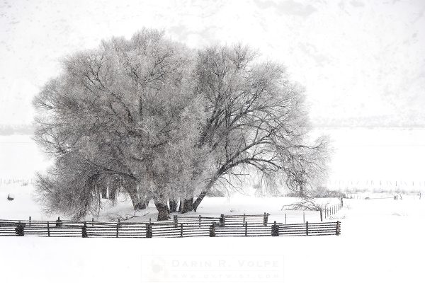 "Winter In The Rockies" [Western Colorado]
