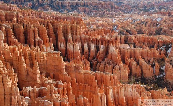 "Forest of Stone" [Hoodoos in Bryce Amphitheater at Bryce Canyon National Park, California]