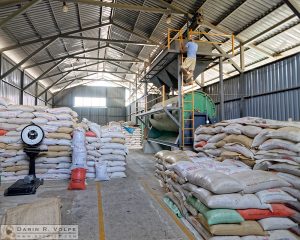 Coffee processing plant in Vuelta de Jorco, Costa Rica
