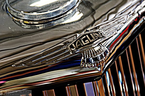 "British Chrome" [Jaguar at the Woodlands Family Automobile Display in Paso Robles, California]