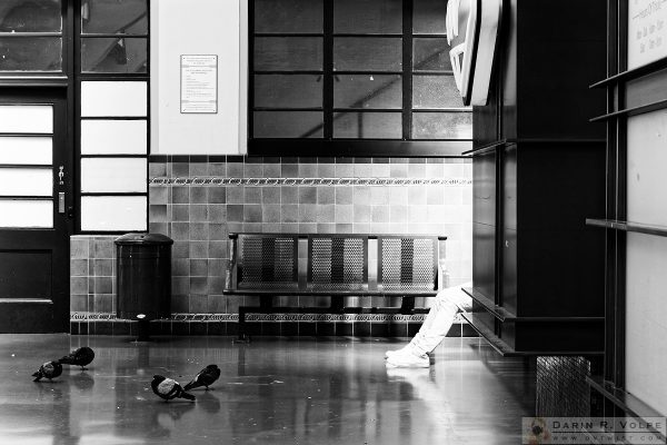 "Pigeon Toes" [Wellington Railway Station in Wellington, New Zealand]