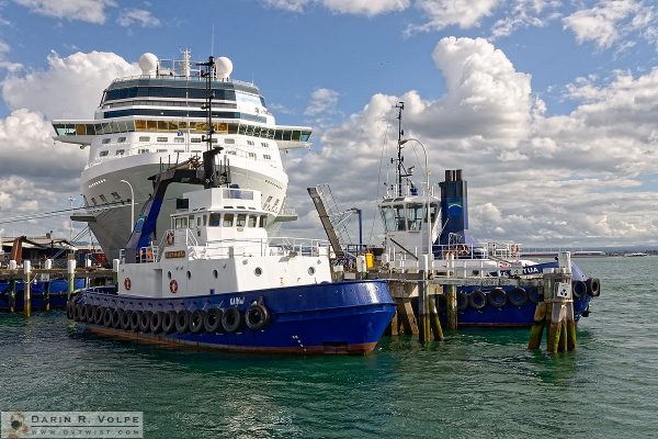 "It's Not the Size, It's How You Use It" [Tugboats and Cruise Ship in Tauranga, New Zealand]