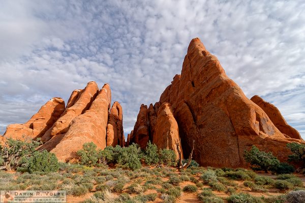 "Fins" [Rock Formations in Arches National Park, Utah]