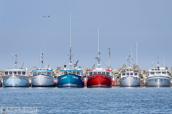 "Starting Line" [Lobster Boats in L'Etang-du-Nord, Quebec, Canada]