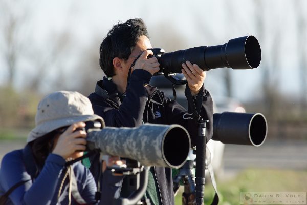 Photographers at Merced National Wildlife Refuge