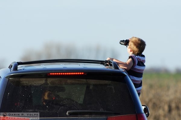 Child Watching Birds at the Merced National Wildlife Refuge