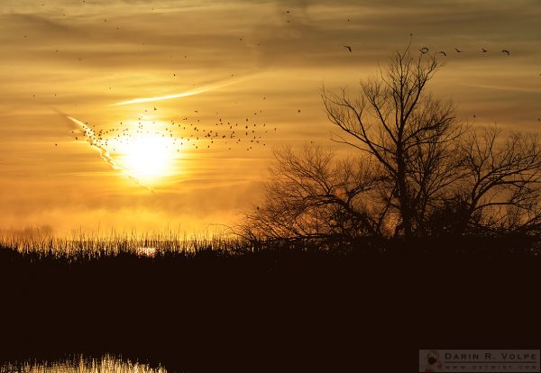 "Morning in Merced" [Sunrise at Merced National Wildlife Refuge, California]