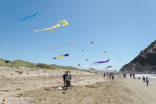 Morro Bay Kite Festival