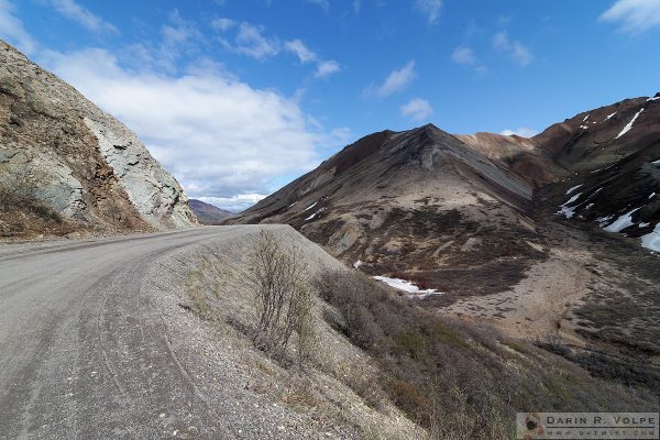 Denali Park Road