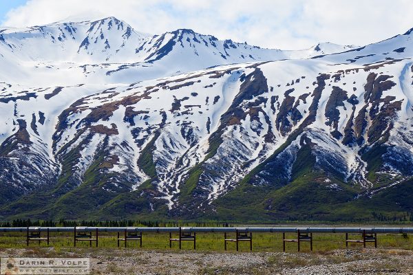 "Down the Tubes" [Trans-Alaska Pipeline near Richardson Highway, Alaska]