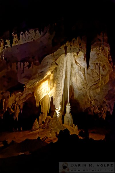 "The Witch's Closet" [Witch's Broom Formation in Carlsbad Caverns National Park, New Mexico]