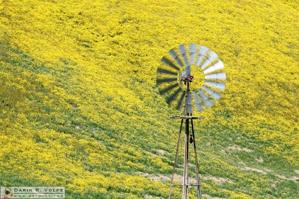 "If It Ain't Broke..." [Aermotor 702 Windmill in San Luis Obispo County, California]