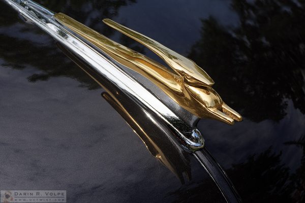 "Golden Gazelle" [Chevrolet Hood Ornament at Paso Robles Classic Car Show, California]