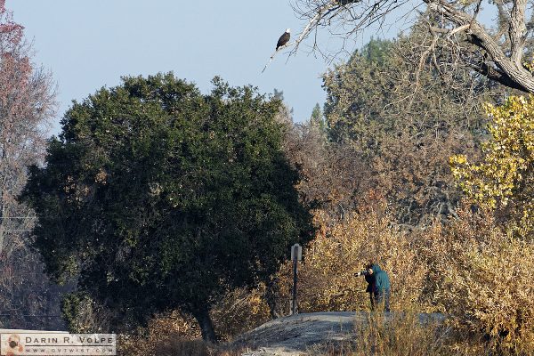 Photographers at Atascadero Lake