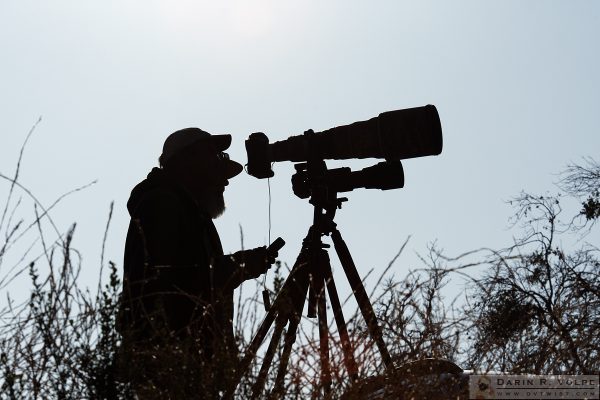 "Two Heads Are Better Than One" [Wildlife Photographers in Atascadero, California]