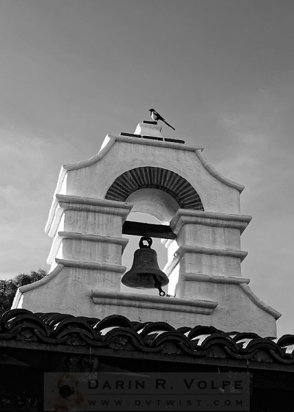 "For Whom The Bell Tolls" [Magpie On Mission Bell Tower In Jolon, California]