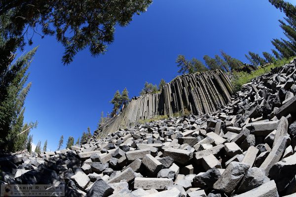 "A Nearly Sunken Treasure" [Basalt Formation in Devils Postpile National Monument, California]