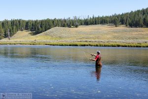 "Ahhhh, West and Weewaxation at Wast!" [Fisherman in Yellowstone National Park, Wyoming]