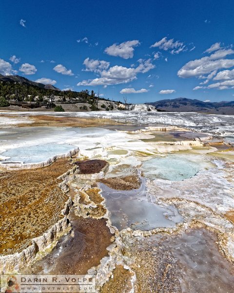 "Liquid Stairway" [Main Terrace at Mammoth Hot Springs in Yellowstone National Park, Wyoming]