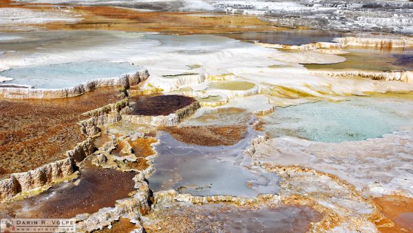 "Terraces" [Main Terrace at Mammoth Hot Springs in Yellowstone National Park, Wyoming]