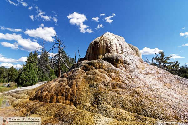 "The Fountain" [Orange Spring Mound in Yellowstone National Park, Wyoming]