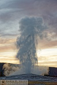 "Eruption!" [Old Faithful Geyser in Yellowstone National Park, Wyoming]