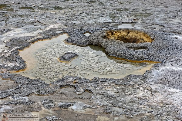 "Pot of Gold & Silver Coins" [Aurum Geyser in Yellowstone National Park, Wyoming]