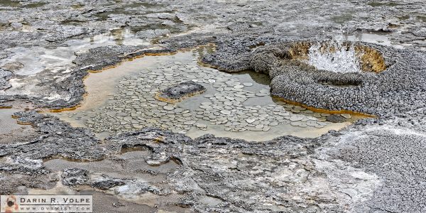 "Yellowbeard the Pirate's Booty" [Aurum Geyser in Yellowstone National Park, Wyoming]