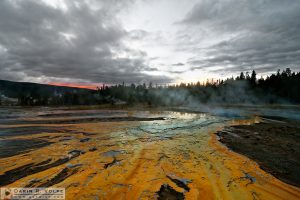 "Terraformers' Descendants" [Cyanobacteria at Doublet Pool in Yellowstone National Park, Wyoming]