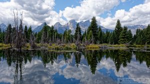 "Teton Reflections" [Teton Range from Schwabacher Landing in Grand Teton National Park, Wyoming]