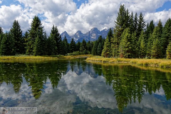 "Beaver Pond" [Teton Range from Schwabacher Landing Grand Teton National Park, Wyoming]