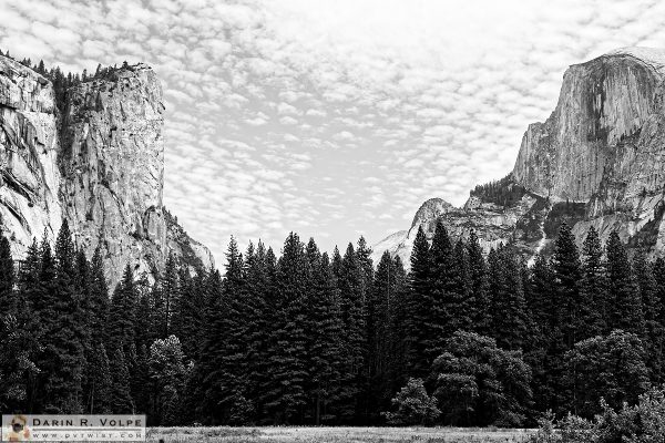 "Between A Rock And A Hard Place" [Yosemite Valley In Yosemite National Park, California]