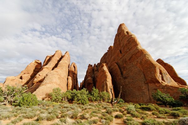 "Blades" [Arches National Park]