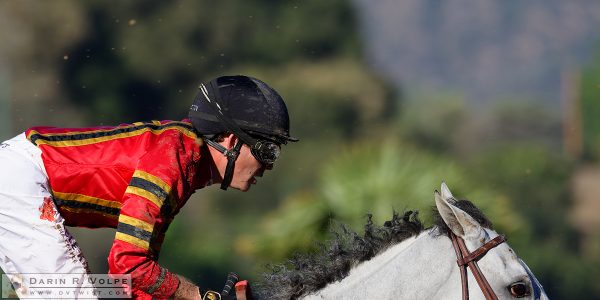 "Five To One" [Race Horse Gem Of Marina At Santa Anita Park, California]