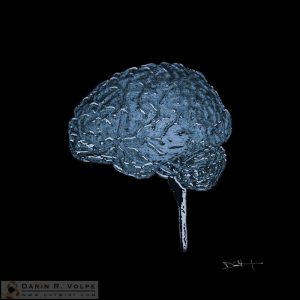 "Inflexible" by Darin Volpe [Digital Art From an MRI Scan of a Human Brain]